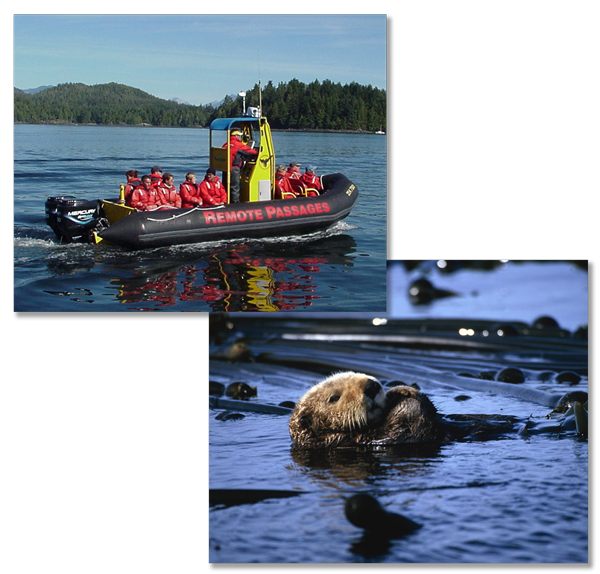 Pictures taken on our tours.